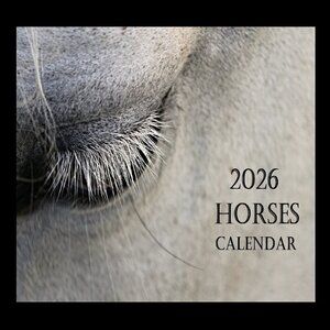 Horse Calendar 2026 Equine Calendar Equestrian Decor Stallion Foal Colt Pictures